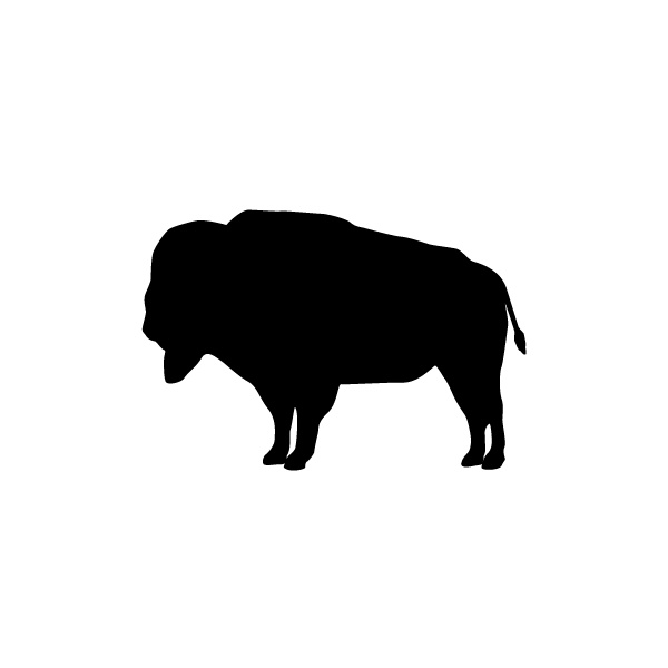 600x600 Buffalo Clipart Buffalo Outline Clipart