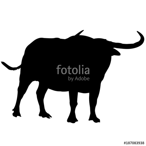 500x500 Water Buffalo Silhouette Vector Graphics Stock Image And Royalty