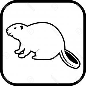 300x300 Beaver Buffalo Vector Silhouette Gm Createmepink