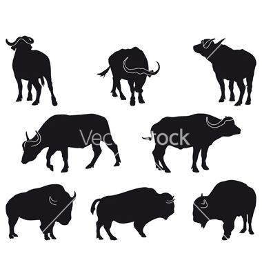 Buffalo Silhouette Vector at GetDrawings | Free download