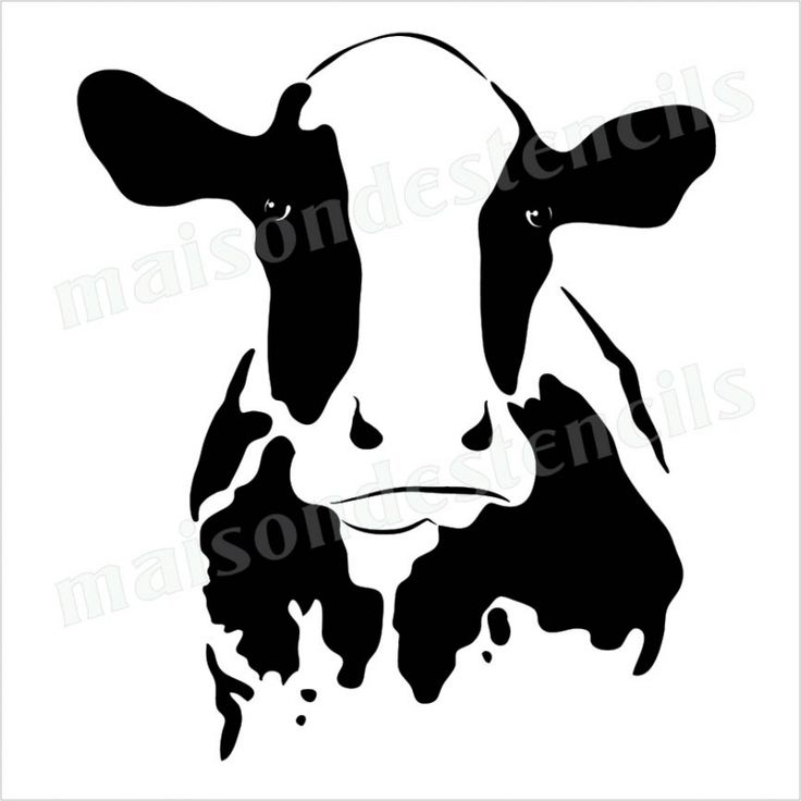 736x736 Drawn Cattle Stencil