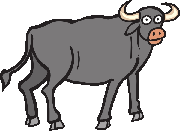 600x439 Buffalo Clipart Buffalo Skull Clipart 3107329