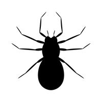 200x200 Bug Silhouette Vector Image