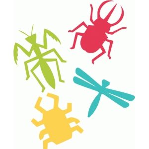 300x300 Pin By Susy Ortega Santana On Fiesta Cri Cri Insects