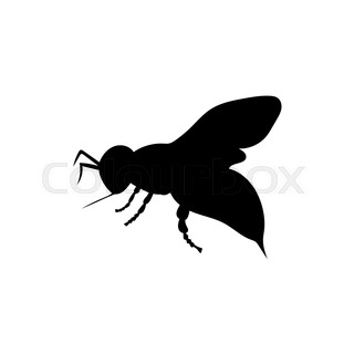 320x320 Set Of Bugs Silhouette