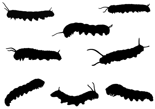 502x352 True Bug Silhouette Vector Clip Art
