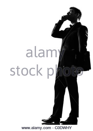 300x421 Bug Silhouette On White Background, Vector Illustration Stock