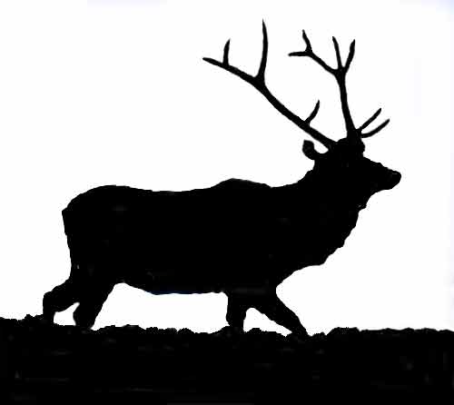 500x446 Bull Elk Silhouette Clipart