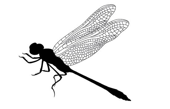 550x354 Dragonfly Silhouette Vector