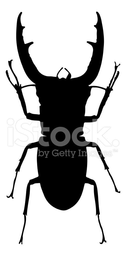 505x1024 Insect Silhouette Stock Vector
