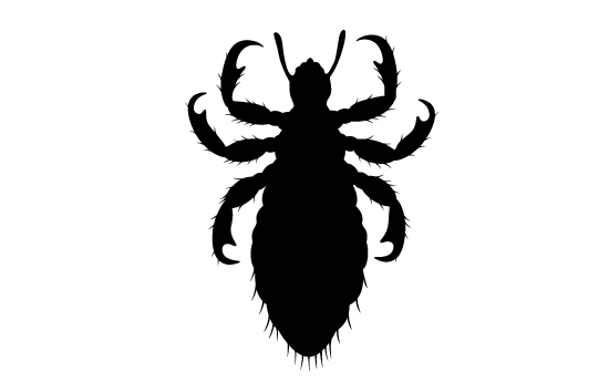 550x354 Insects Silhouette Cipart