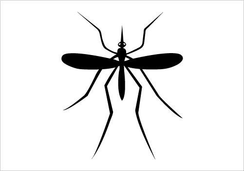 501x351 Mosquito Silhouette Graphics Silhouette Clip Art