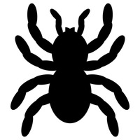 200x200 Shape Shapes Silhouette Silhouettes Cutout Cut Out Insect Insects