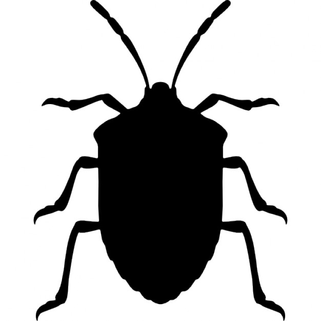 626x626 Stink Bug Insect Shape From Top View Icons Free Download