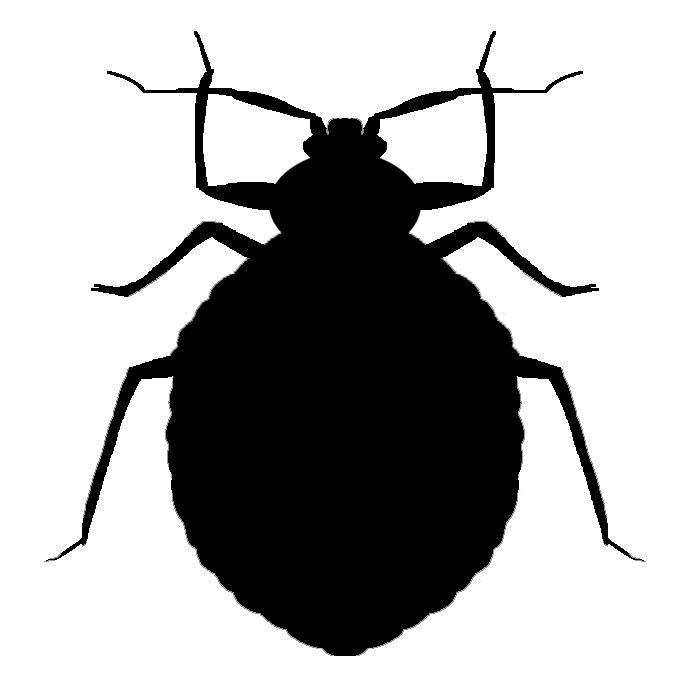 700x700 Tcc Bed Bugs Are Back!