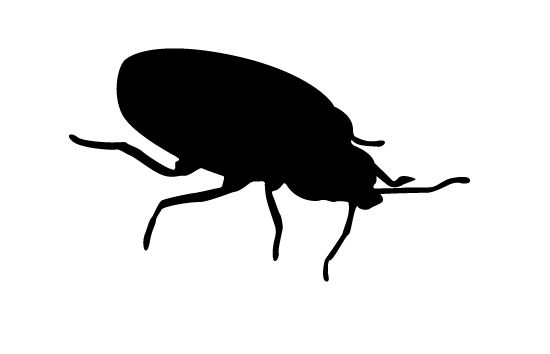 550x354 Bug Silhouette Vector Clip Art And Silhouettes