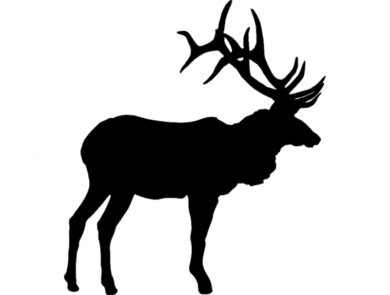 800x606 Large Bull Elk Dxf File Free Download