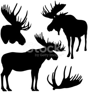 285x299 Moose Silhouettes Premium Clipart