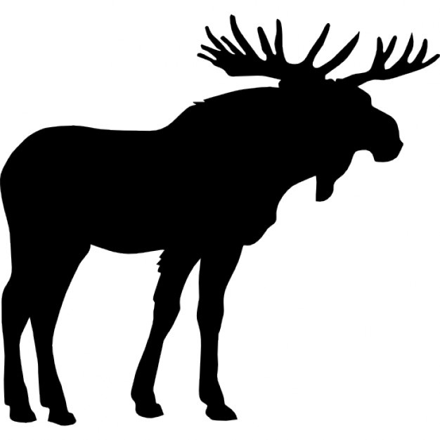 626x626 Moose Vectors, Photos And Psd Files Free Download