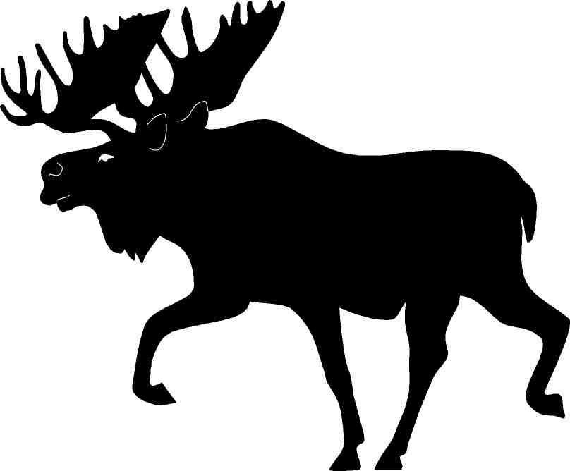808x668 Moose Silhouette