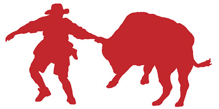 443x222 Bull Riding School