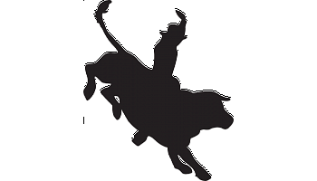 350x200 Bull Riding Silhouette