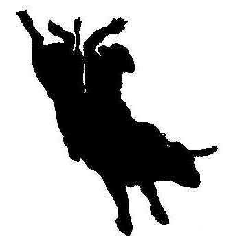 339x351 11 Best Championship Bull Riding Images On Bull Riding