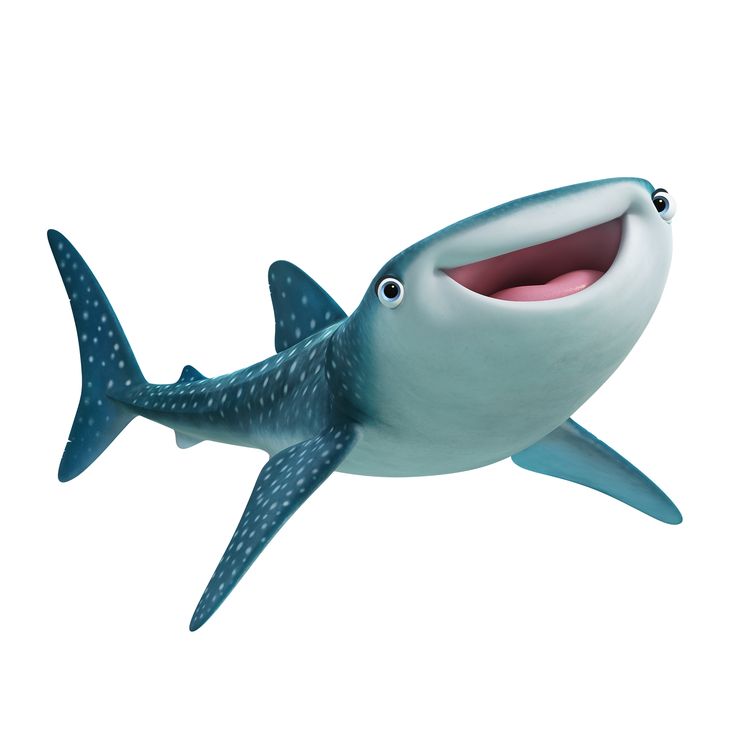 736x736 Bull Shark Clipart Stencil