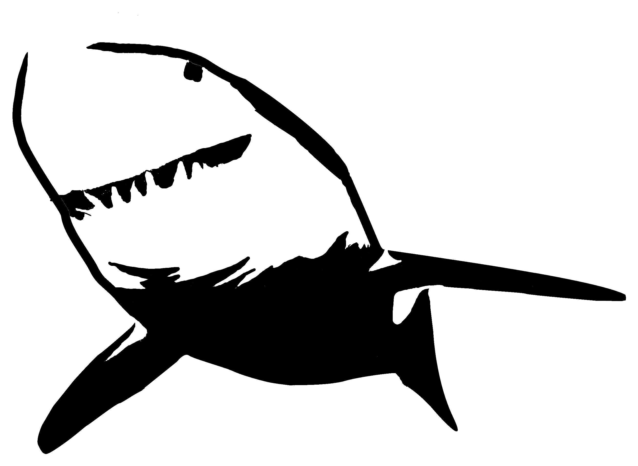 2609x1907 Bull Shark Clipart Stencil
