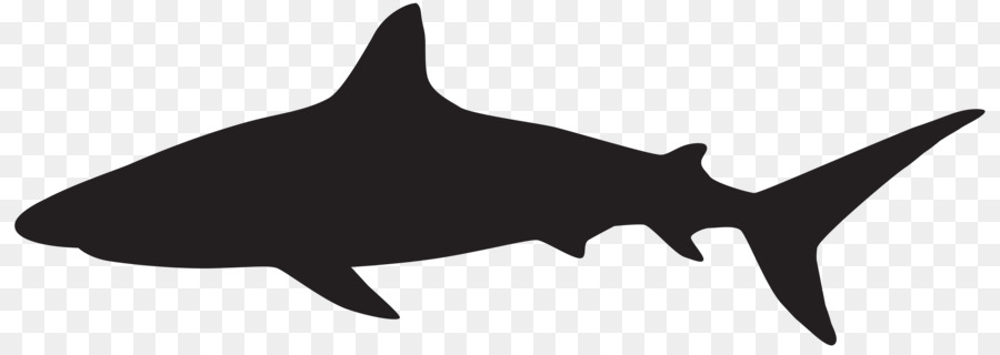 900x320 Great White Shark Silhouette Clip Art