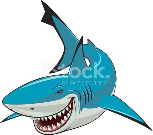 497x439 White Shark Stock Vector