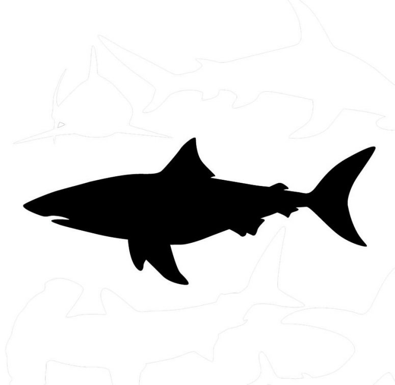 775x756 Best Free Bull Shark Silhouette Pictures Vector Images Stocks