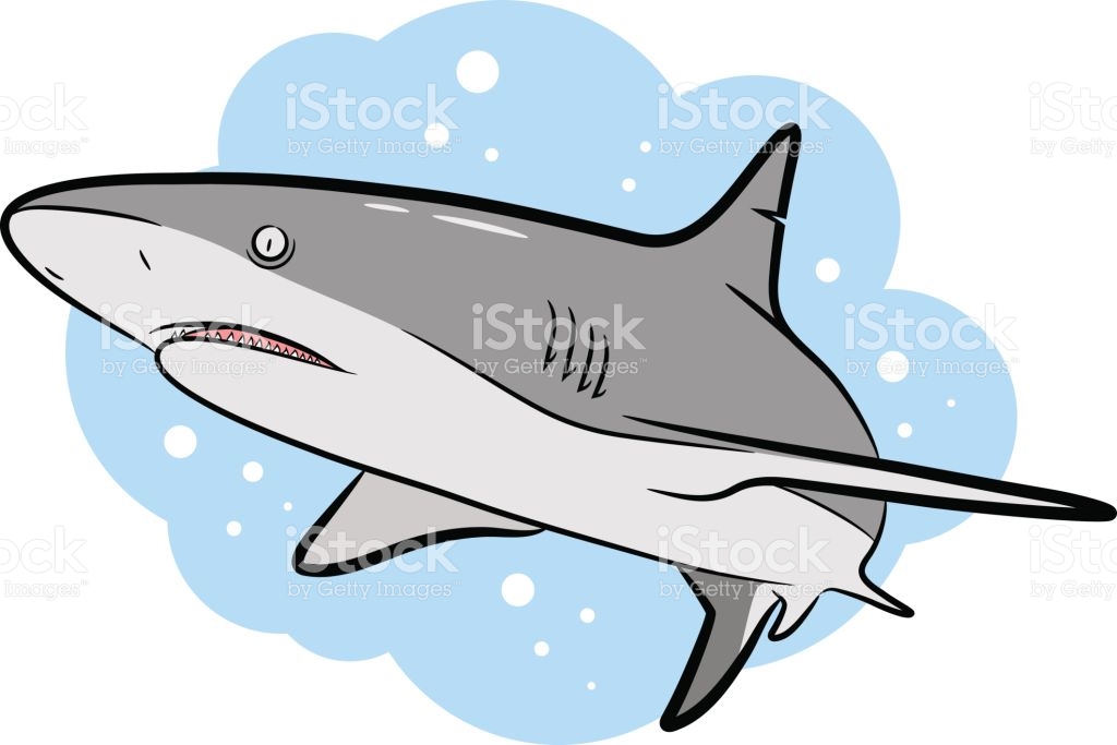 1024x683 Bull Shark Clipart Blue Shark