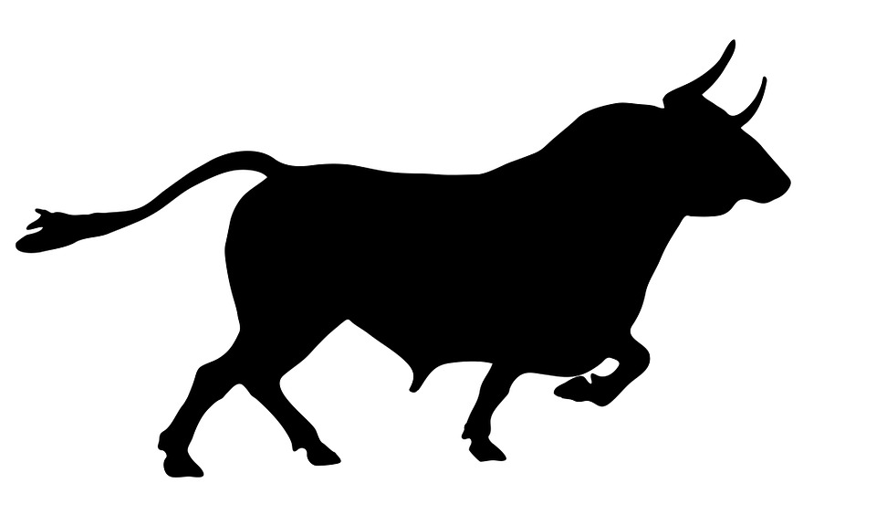 960x575 Free Bull Icon 81156 Download Bull Icon