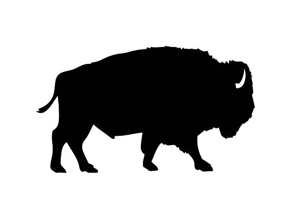 570x429 Bison Buffalo Nature Mammal Wild Animal Wildlife Bull Power