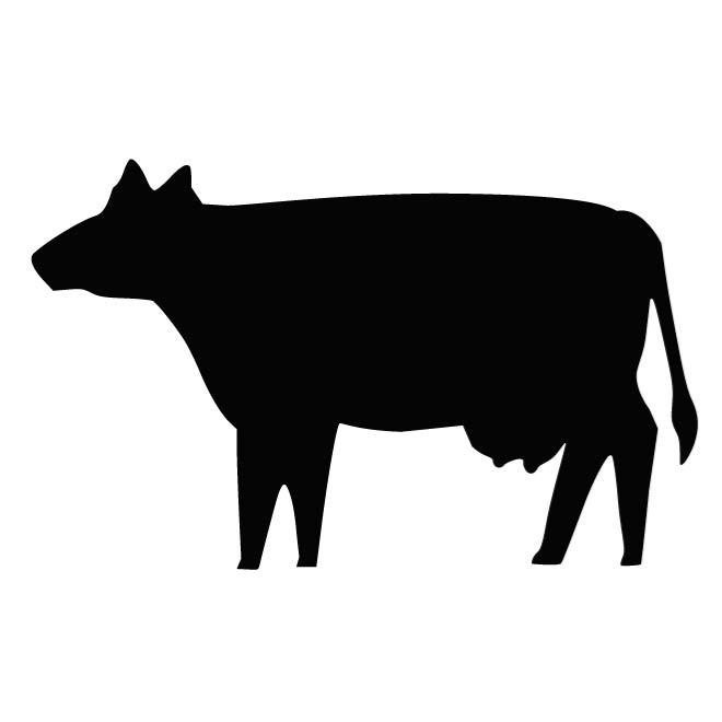660x660 Free Bull Vectors 64 Downloads Found