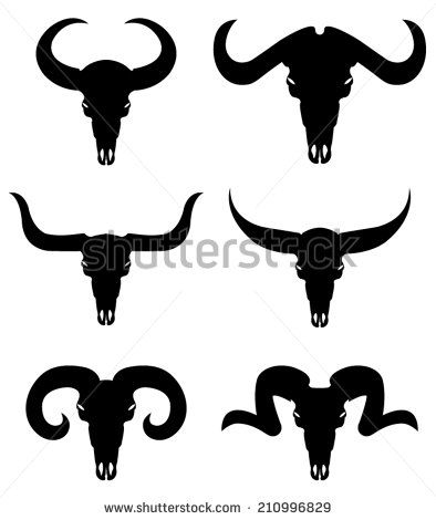 394x470 Bull Horn Stock Photos, Images, Amp Pictures Shutterstock Art