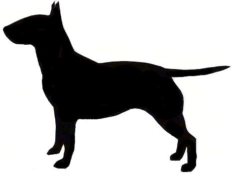 470x350 Bull Terrier.jpg Paper Cut Outs Amp Sketch Files