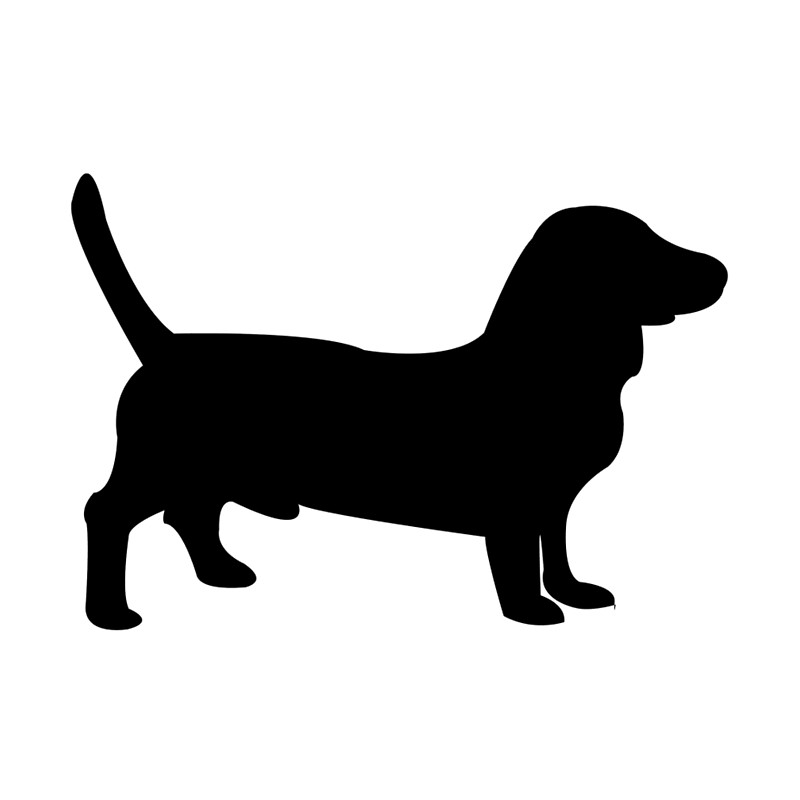 800x800 Bull Terrier Dog Silhouette Leggings By Mishamisha Redbubble