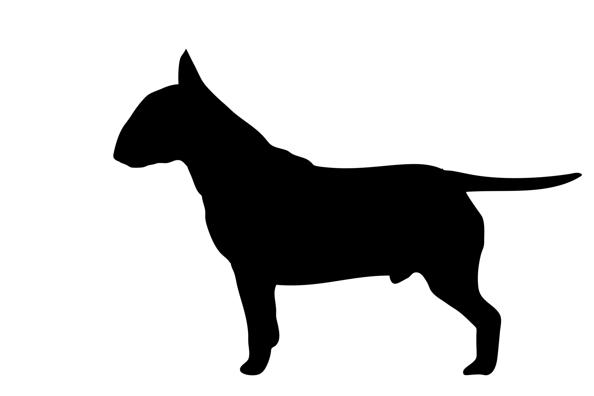 1920x1280 Dog, Bull Terrier Black Silhouette Free Stock Photo