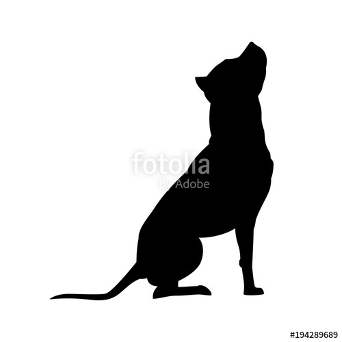 500x500 American Pit Bull Terrier Silhouette Isolated On White Background