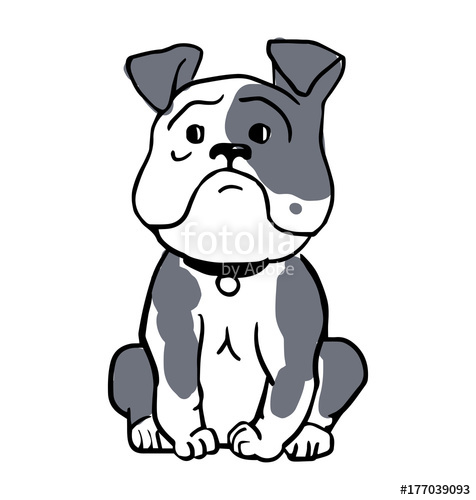 476x500 English Bulldog Isolated On White Background. Cute Gray Outline
