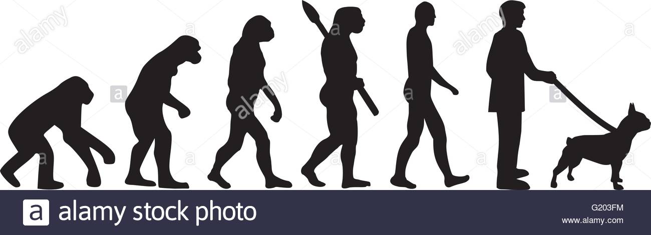 1300x470 French Bulldog Stock Vector Images