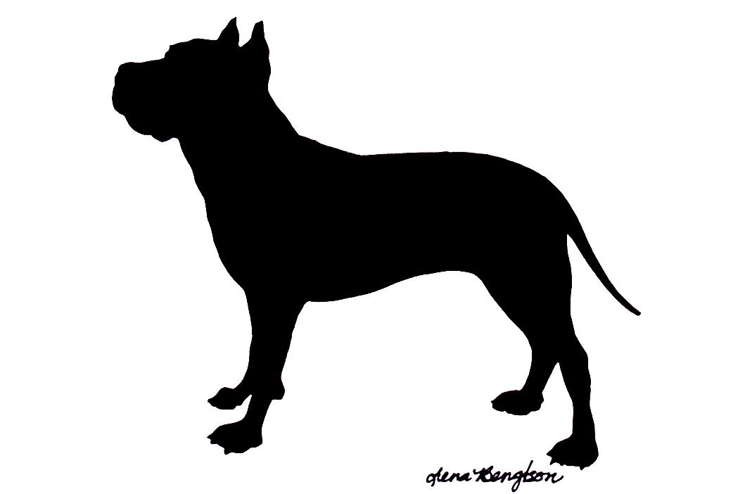 1059x702 Pet Gallery Page 1