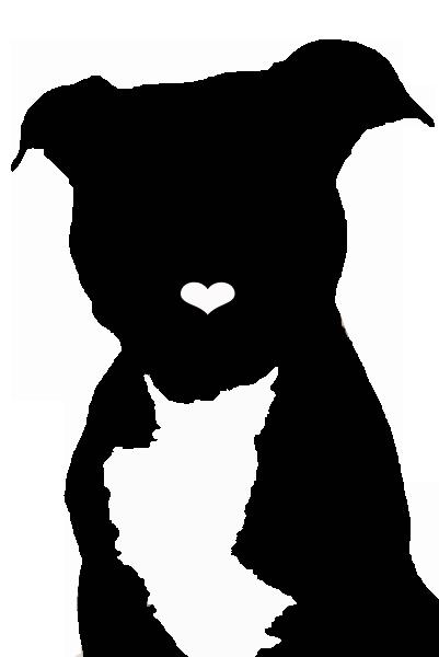 401x600 Pets For Adoption