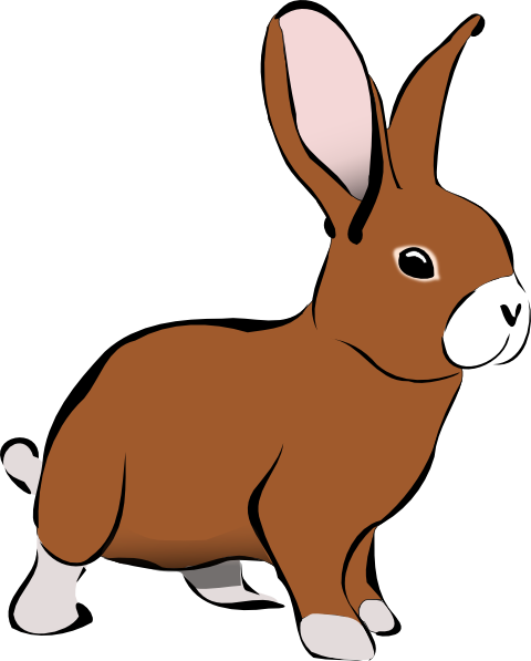 480x597 Awesome Clipart Rabbit