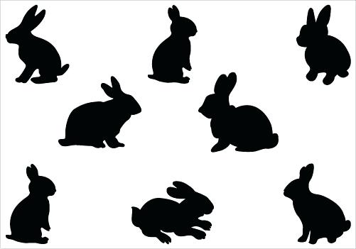 501x351 Bunny Head Outline Template Printable Coloring Rabbit Silhouette