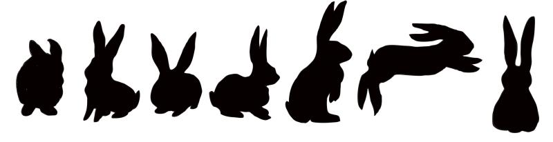 800x206 Bunny Silhouette Clipart Related Images