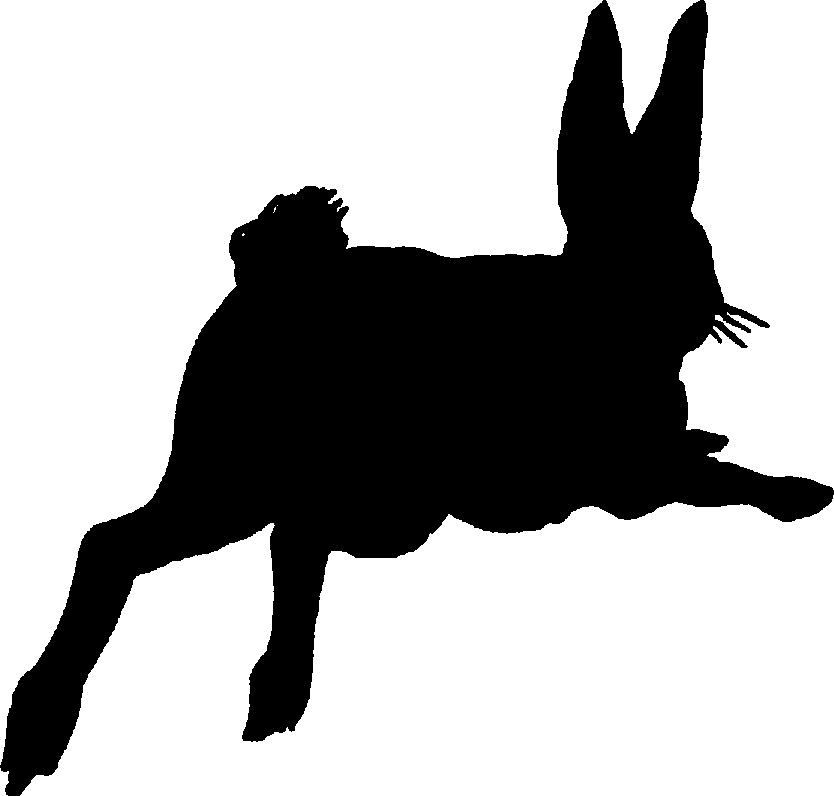 834x796 Jack Rabbit Clipart Rabbit Silhouette