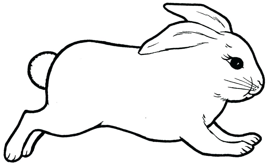 Printable Easter Chocolate Rather On The Head Bunny Coloring Page 3